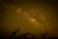 Milky Way, Hunting Island State Park, SC